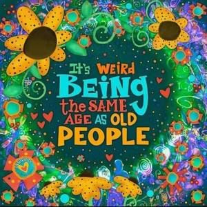 Meet your Posher, Cyndi